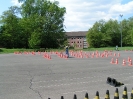 Kartslalom 2011_5